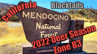 2022 Public Land Opening Day Buck Zone B3