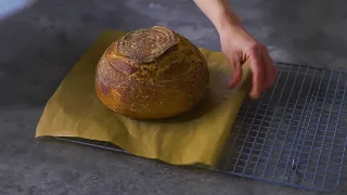 Nearly No-Knead Sourdough in the Anova Precision™ Oven