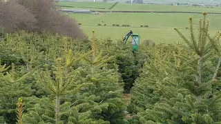 Jutek Christmas tree multifunctional machine on weed spraying