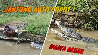 WARGA AUTO PANIK!! Prank buaya BIKIN jantung copot !!