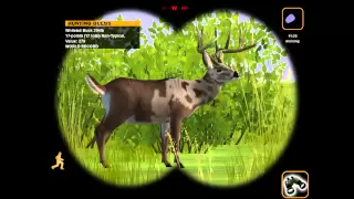 Deer Hunter 2005 World Records / Rare Animals