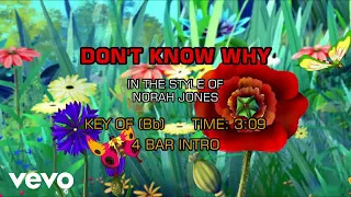 Norah Jones - Don't Know Why (Karaoke)