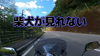 W650で日本一周その47「愛媛県境から高知がどこだ」バイク限定休憩所＆山のスイーツ