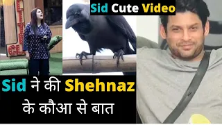 Sidharth Shukla को आई Shehnaz Gill की याद | Sidharth BB14 Unseen Undekha Video | Sidnaaz Undekha