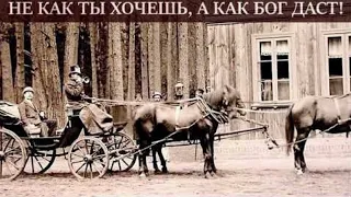 НЕ КАК ТЫ ХОЧЕШЬ,А КАК БОГ ДАСТ РАССКАЗ