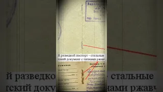 Почему в Ленинграде мгновенно вычисляли немецких шпионов?