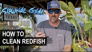 SLOWRIDE GUIDE: How To Clean Redfish The Easy Way // ARANSAS PASS TX.