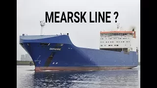 Marchant navy -ll MAERSK LINE ?