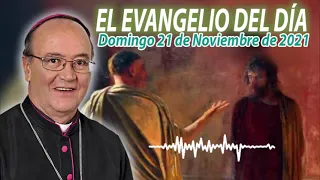 El Evangelio del Día | Mons. Enrique Díaz | 21 de Noviembre de 2021