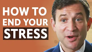 GUIDE TO HAPPINESS: How To Hack Your Brain's Default Mode With MEDITATION | Dan Harris