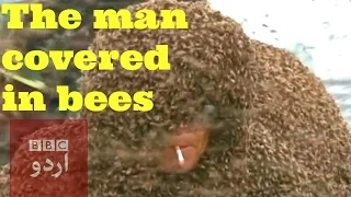 Man covered in stinging bees sets record in China.