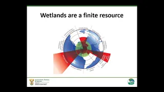 Wetlands and Water ‐ Inseparable and vital for life