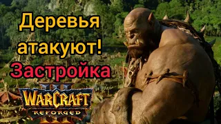 Деревья атакуют! Застройка‼️ Foggy (Ne) vs Soin (Orc) Warcraft 3 Reforged