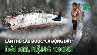 Cần thủ câu được “cá động đất” dài 6m, nặng 130kg | VTC14