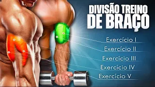 Montando um TREINO DE BRAÇO com INTELIGÊNCIA