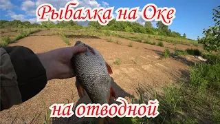 Рыбалка на отводной на Оке. Рыбалка в Нижнем Новгороде
