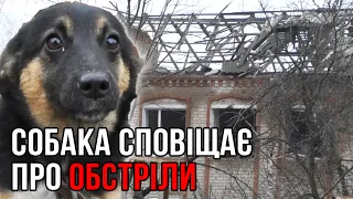 Як ВИЖИВАЮТЬ люди у прифронтовій Малій Токмачці?