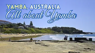 All About Yamba | NSW Australia