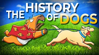 A Brief History of the Good Boys | The Evolution of Dogs