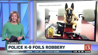 K-9 Stops Robbery