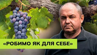 Чи можливо почати бізнес під час війни? Історія винороба із Сумщини