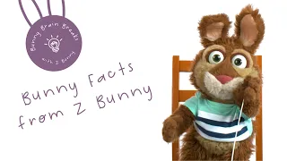 Z Bunny Brain Break: Bunny Facts from Z Bunny