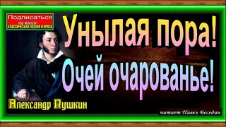 Унылая пора! Очей очарованье, Александр Пушкин , Русская Поэзия , читает Павел Беседин