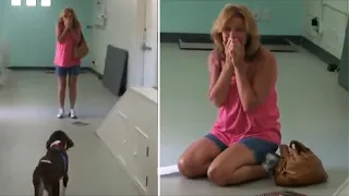 Она пришла забрать больную собаку, но когда видит что с ней сделали в клинике, то падает на колени!
