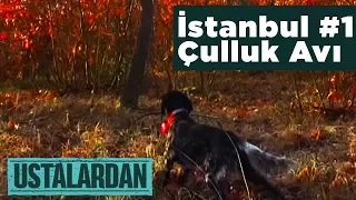 İstanbul Çulluk Avı 1 Ustalardan  Yaban Tv