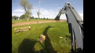 Stump Removal with a Bobcat E35