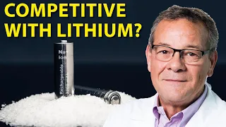 Sodium-Ion Batteries - Stefano Passerini