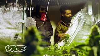 A Tale of Two Dealers: Amsterdam | WEEDIQUETTE