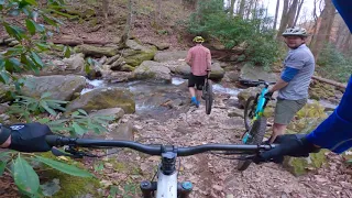 Farlow Gap trail | Pisgah National Forest | Downhill Mountain Biking | November 8, 2020