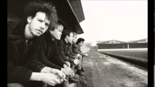 Half Man Half Biscuit - Peel Session 1985