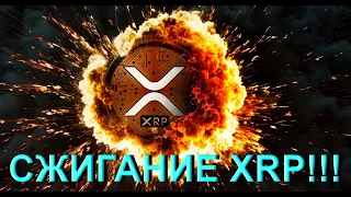 Д.Шварц: НЕТ СМЫСЛА СЖИГАТЬ XRP!!! | Киты выкупили 3.17 млрд XRP!!!