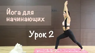 Йога для начинающих.  Урок 2. Растяжка.