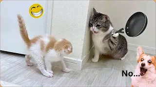 You Laugh You Lose 😁 Funniest Animals 2024 😺🐶 New Funny Cats and Dogs Videos 😹🐶 P27