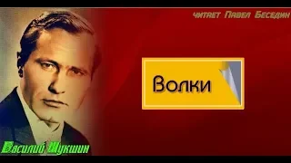 Волки Василий  Шукшин читает Павел Беседин