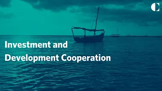 Investment and Development Cooperation