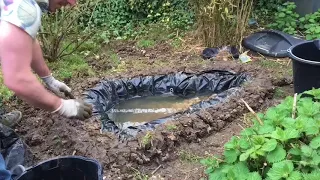 How to Build an Amphibian Conservation Area in your Garden