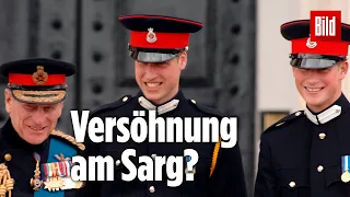 Prinz Philip: Ob die zerstrittenen Brüder Harry und William bei der Beerdigung  zueinander finden