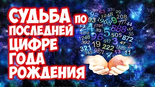 Судьба по году рождения Что значит последняя цифра года рождения