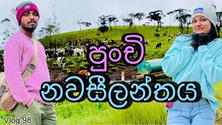 අඹේවෙල වැඩ්ඩෝ | Abewela farm visit | Little newzealand | 20 days trip | Day 04 @WolfyVlogs