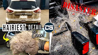 Deep Cleaning The HAIRIEST DISASTER Vehicle I've Ever Seen! | The Detail Geek