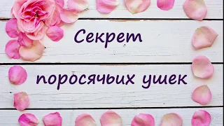 Ушки для поросенка