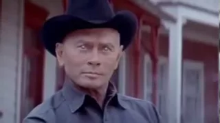 Vintage - Westworld Movie Trailer