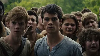 Why You Should Read The Maze Runner