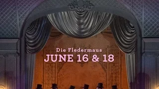 DIE FLEDERMAUS