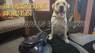 Пылесос LG VK76A02NTL | Собака и пылесос | Обзор и тест лучшего бюджетного пылесоса 2021 года