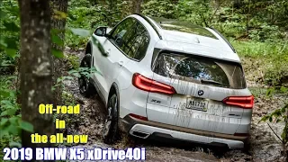 2019 BMW X5 xDrive40i | driven off-road